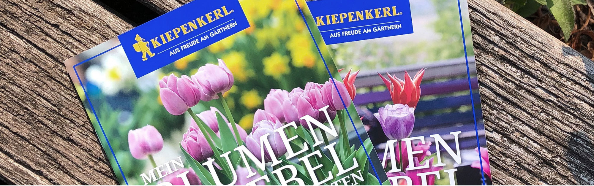 Titelmotiv der Kiepenkerl Blumenzwiebel-Broschüre