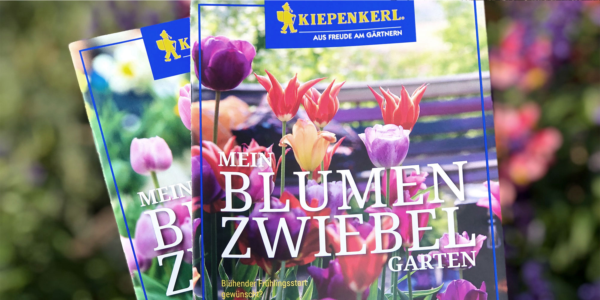 Titelmotive der Kiepenkerl Blumenzwiebelbroschüre