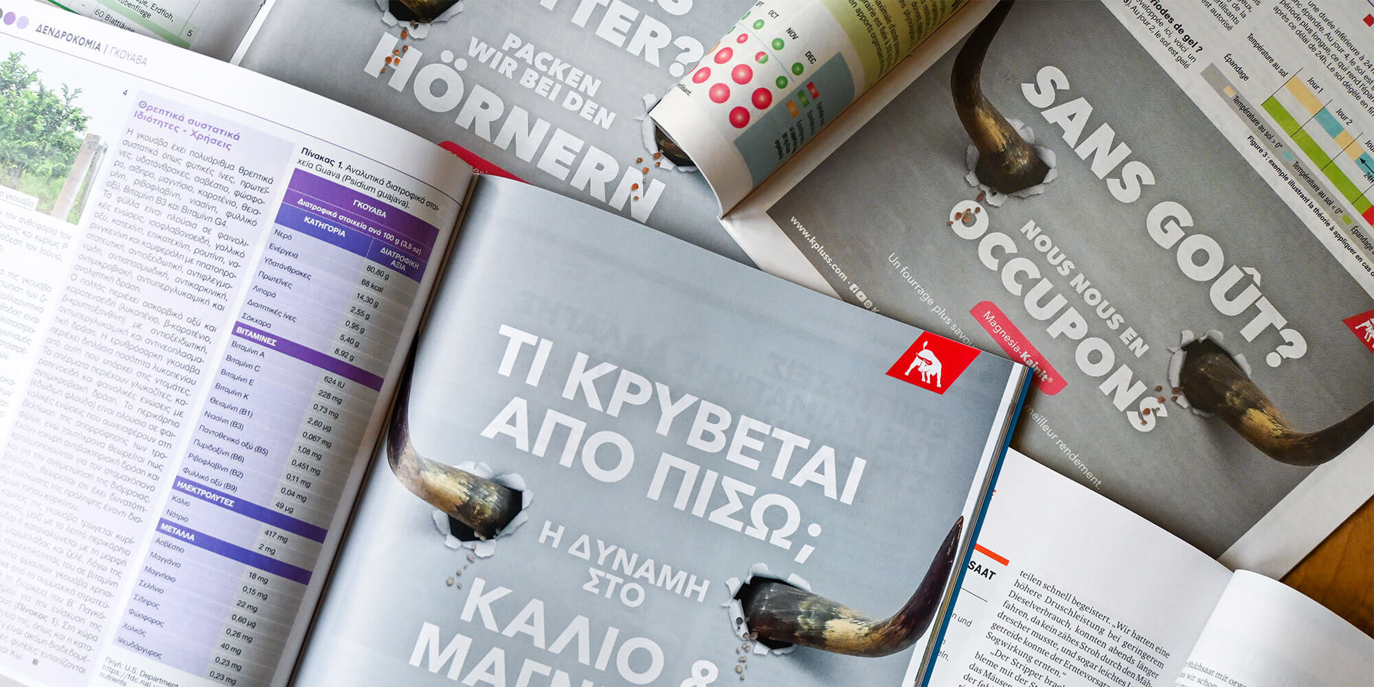 werbeagentur formtugend projekt k+s anzeigen kampagne anzeigen