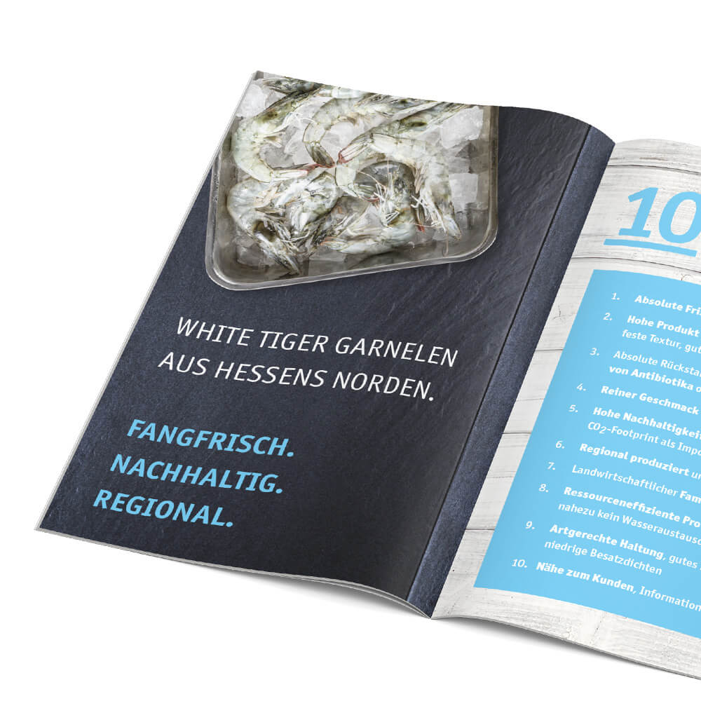 werbeagentur formtugend die landgarnele broschüre