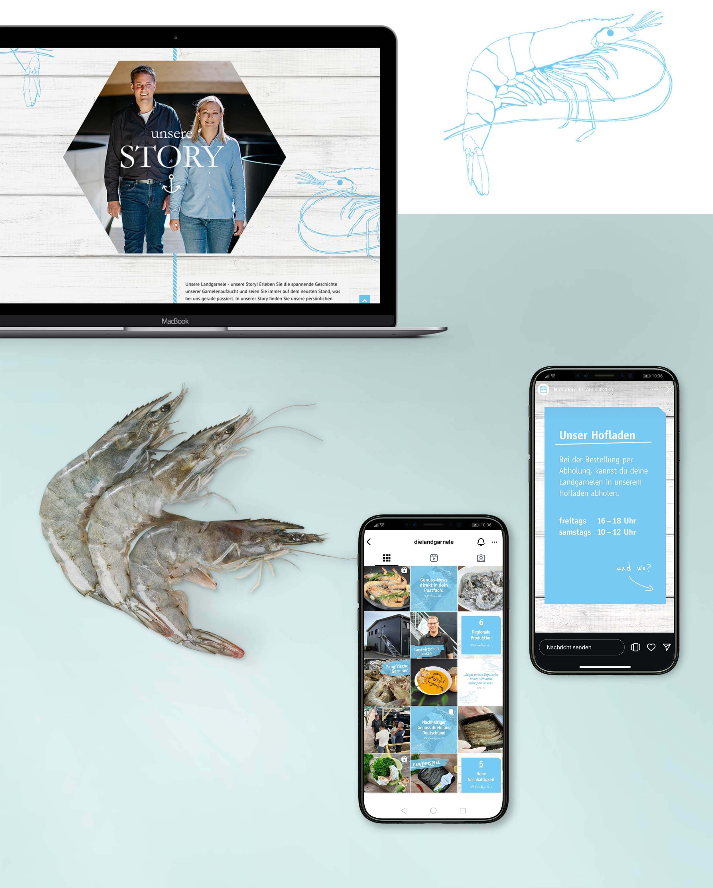 werbeagentur formtugend die landgarnele website social media