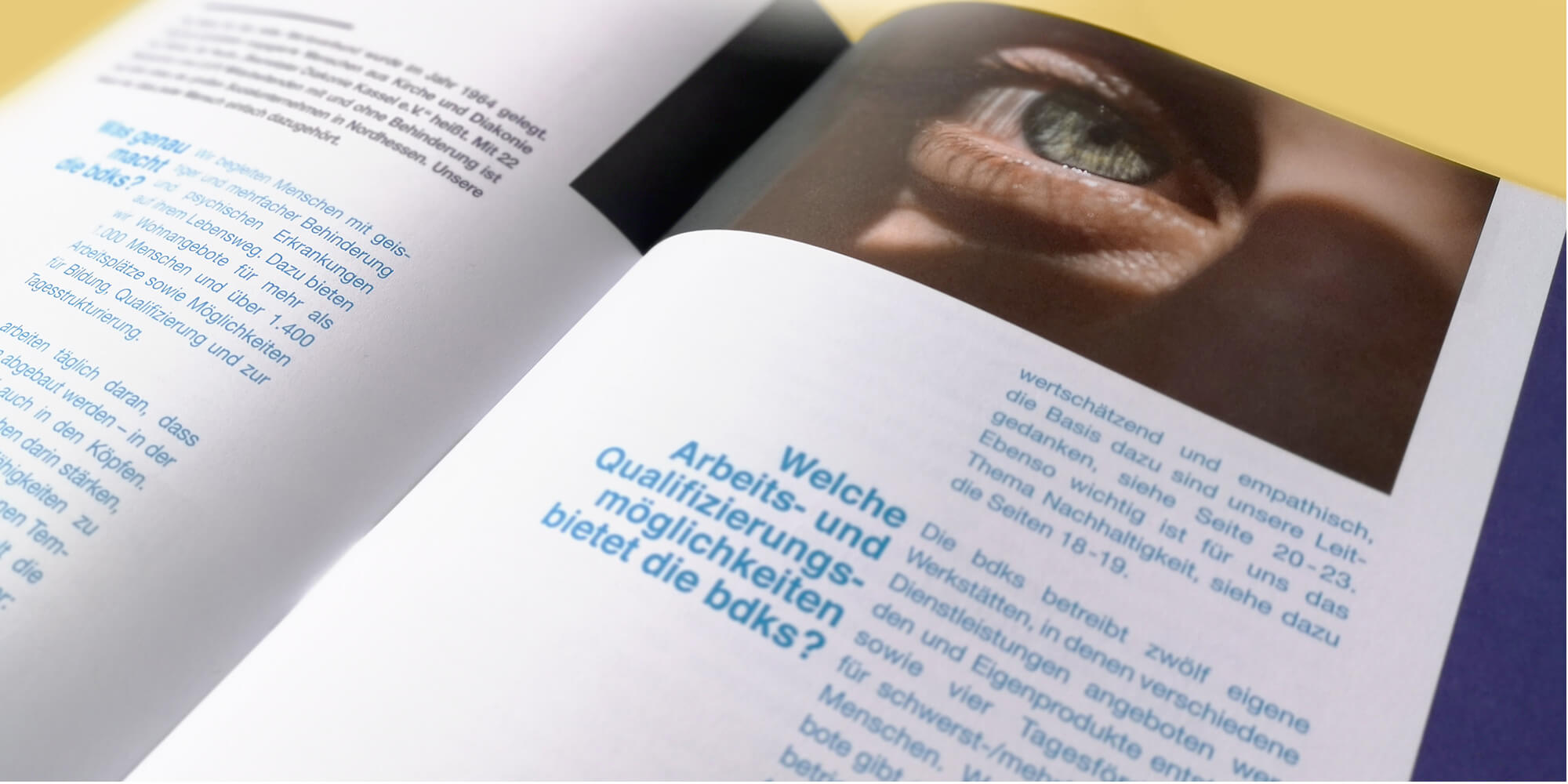 werbeagentur formtugend bdks imagebroschüre intro
