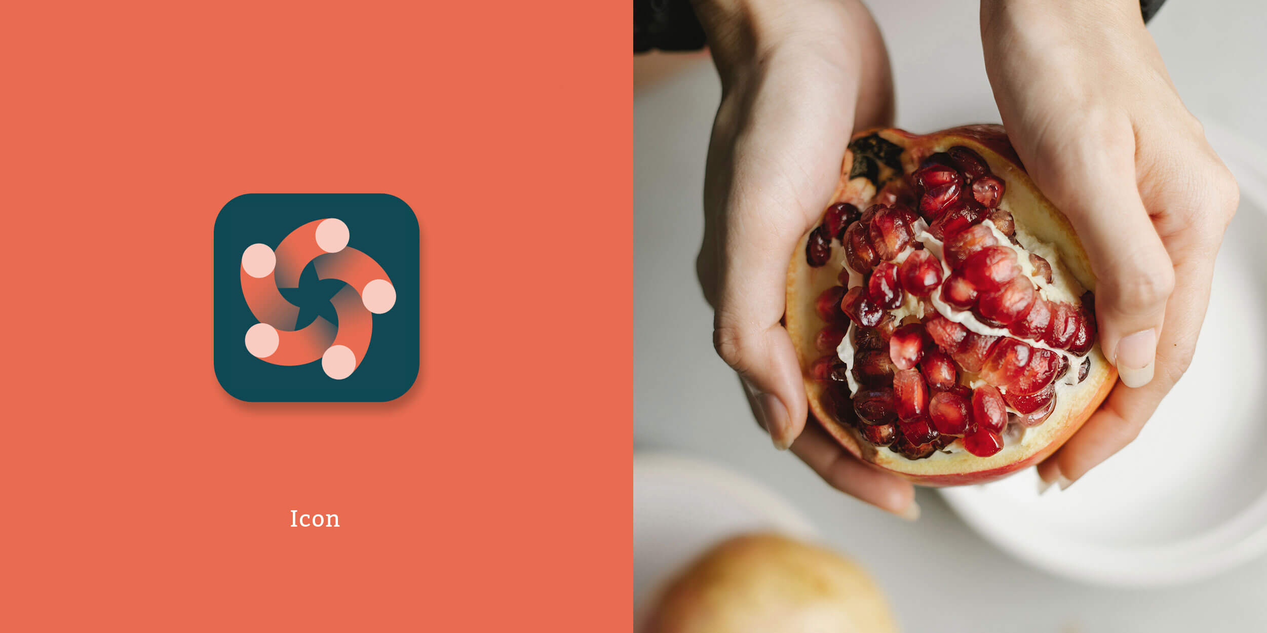 werbeagentur formtugend longevist icon